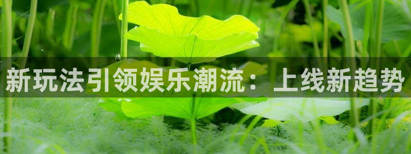 超凡国际app登录入口：新玩法引领娱乐潮流：上线新趋势