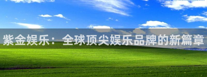 辉达平台：紫金娱乐：全球顶尖娱乐品牌的新篇章